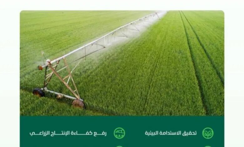 ربط-213-مزرعة-بالكهرباء-يخفض-التكلفة-60-%