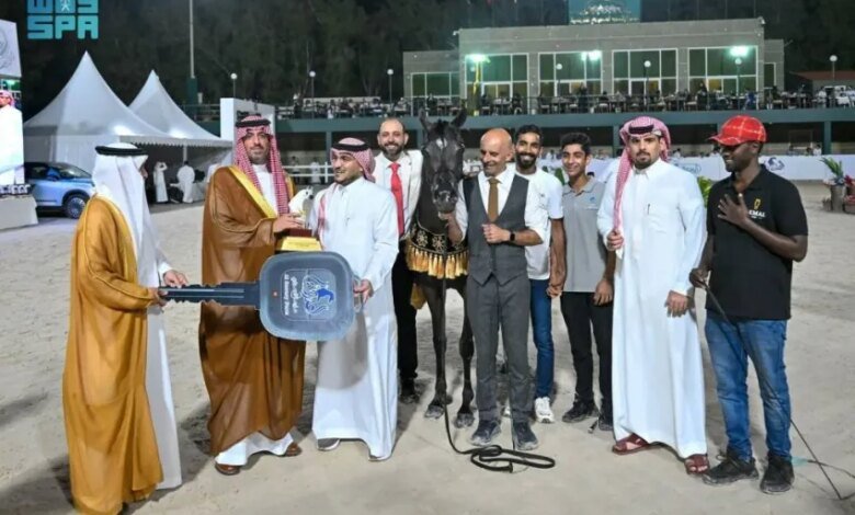 «آية-العرب»-تحصد-ذهبية-بطولة-جدة-لجمال-الخيول-العربية