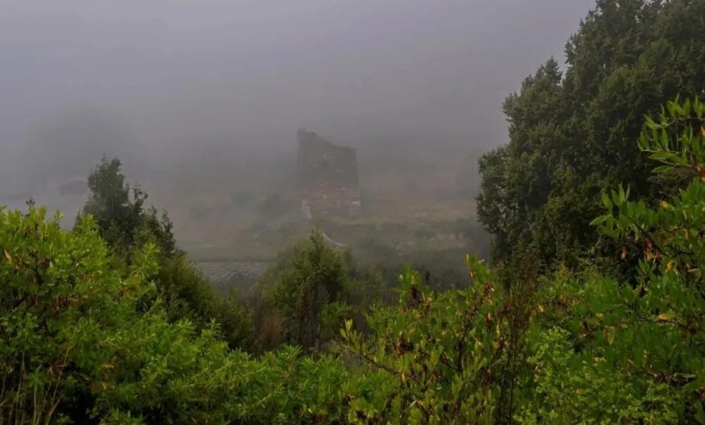 حتى-8-صباحًا.- ضباب متباين-الشدة-على-أجزاء-من-الشرقية