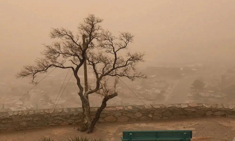 الأماكن-والمواعيد.-رياح-نشطة-وأتربة-على-أجزاء-من-الشرقية