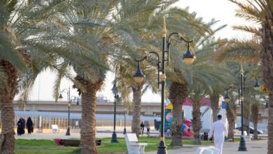 زراعة-36-ألف-شجرة.-حدائق-عرعر-تستقبل-الزوار-مع-اعتدال-الأجواء