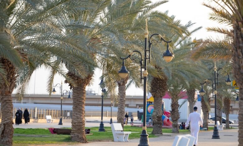 زراعة-36-ألف-شجرة.-حدائق-عرعر-تستقبل-الزوار-مع-اعتدال-الأجواء