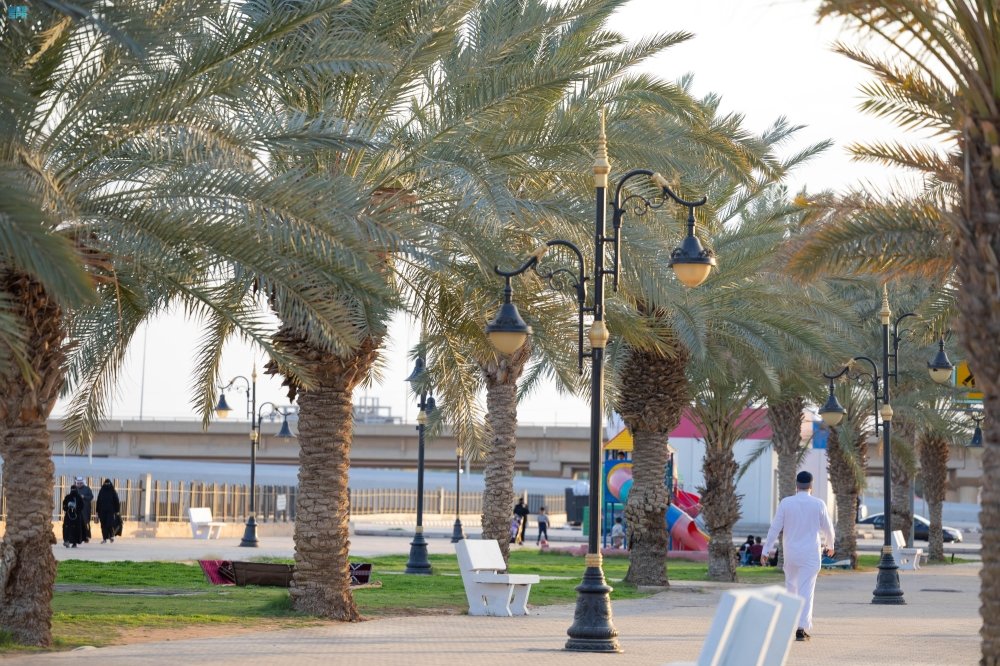 زراعة-36-ألف-شجرة.-حدائق-عرعر-تستقبل-الزوار-مع-اعتدال-الأجواء