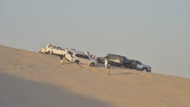 «هاف-مون».-وجهة-«التطعيس»-الخليجية-تبحث-عن-طوق-نجاة-من-العشوائية