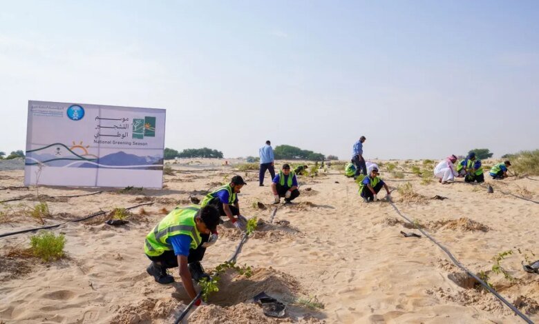 الأحساء.-الري-تُطبق-خطة-استدامة-وتغرس-500-شتلة-في-«الأصفر»