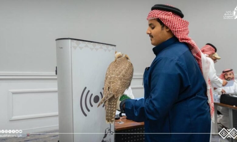 استعدادات-مكثّفة-لانطلاق-كأس-نادي-الصقور.-غدًا-بالشرقية