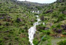 “عدسة-البيئة”.-حملة-توعوية-لإبراز-التنوع-الطبيعي-الفريد-في-السعودية