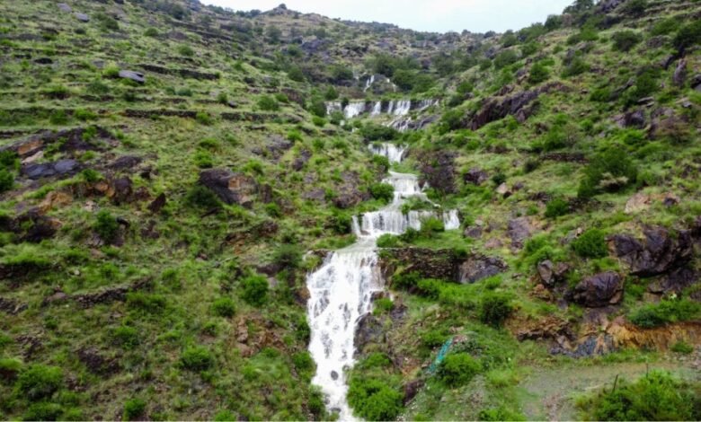 “عدسة-البيئة”.-حملة-توعوية-لإبراز-التنوع-الطبيعي-الفريد-في-السعودية