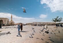 شتاء-المدينة-المنورة.-موسم-ثقافي-وسياحي-يجمع-التاريخ-والترفيه