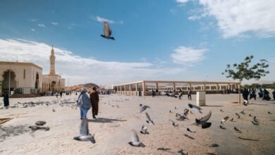 شتاء-المدينة-المنورة.-موسم-ثقافي-وسياحي-يجمع-التاريخ-والترفيه