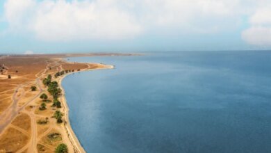 على-شاطئ-العقير.-انطلاق-أول-مهرجان-عائلي-للرياضات-الشاطئية-بالسعودية