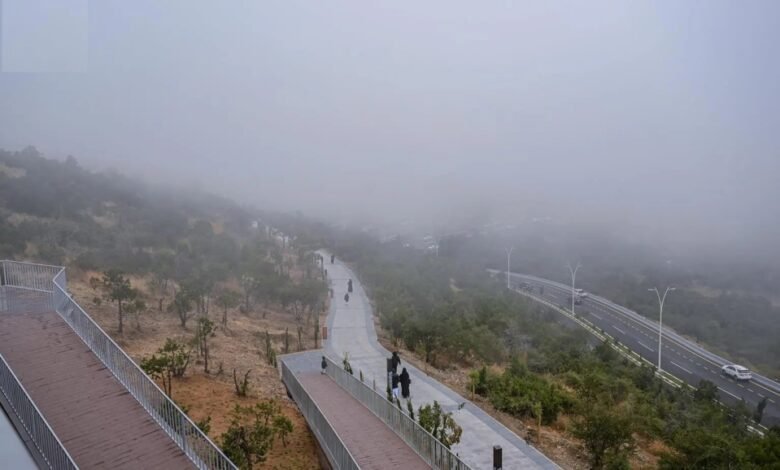 طقس-الصباح-الباكر.-ضباب-وتدني-مدى-الرؤية-على-الشرقية
