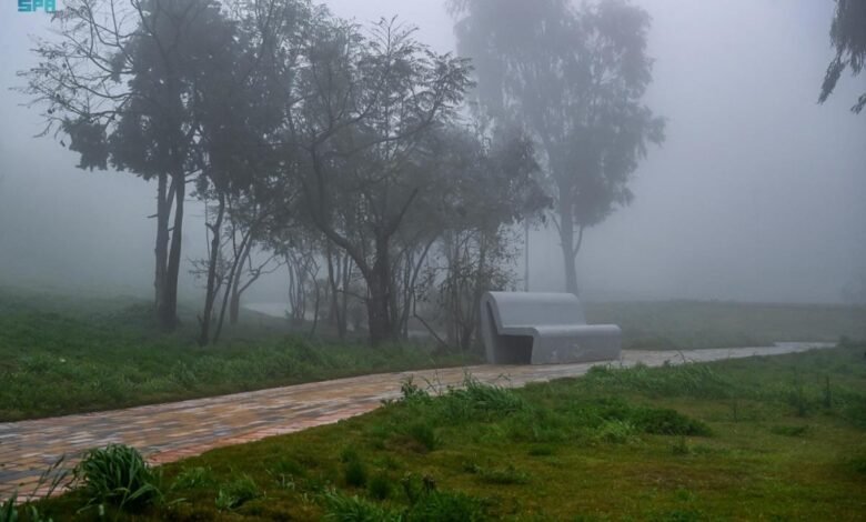 طقس-المنطقة-الشرقية.-ضباب-خفيف-على-العديد-في-الصباح-الباكر