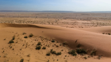 محمية-الملك-عبدالعزيز:-التنزه-في-منطقة-الطوقي-متاح-بشرط