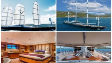 جميرا-توسّع-آفاق-فئة-“جميرا-بريفيه”-بإطلاق-تجربة-“ذا-مالتيز-فالكون”-البحرية