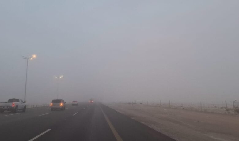 صور|-ضباب-كثيف-في-الأحساء.-انعدام-الرؤية-يربك-سالكي-طريق-بقيق-عاجل