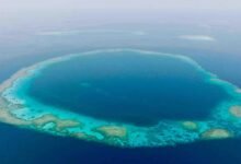 الثقوب-الزرقاء-في-السعودية.-ظاهرة-بحرية-نادرة-ووجهة-مفضلة-للغواصين