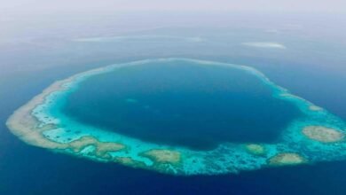 الثقوب-الزرقاء-في-السعودية.-ظاهرة-بحرية-نادرة-ووجهة-مفضلة-للغواصين