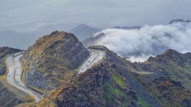 الضباب-يغطي-جبال-الطائف-بأروع-اللوحات-في-الساعات-الأولى-من-الصباح