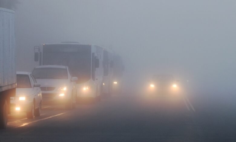 أمطار-غزيرة-وتساقط-البرد-على-الشرقية-مع-استمرار-الضباب-صباحًا