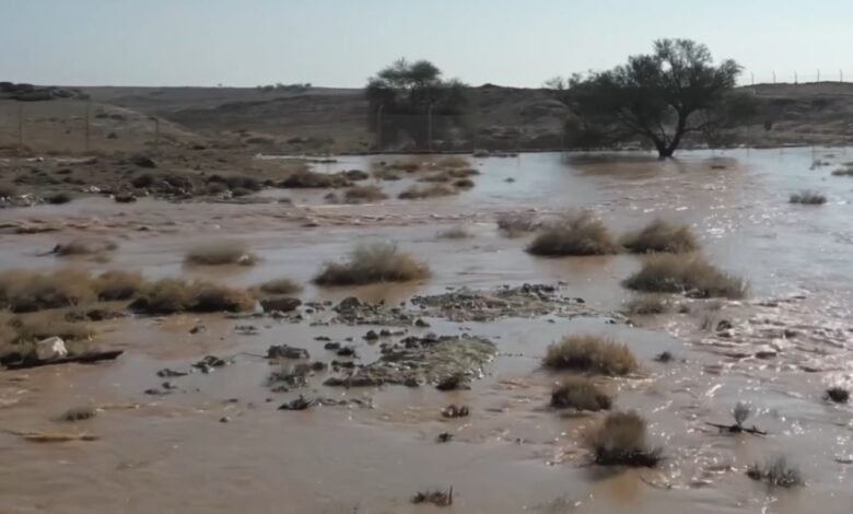 أمطار-الخير-تنعش-الطبيعة-في-محمية-الإمام-تركي-بن-عبدالله-الملكية