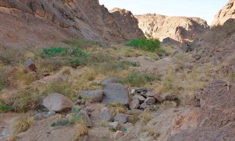 وادي-مغيدد-في-نجران.-بيئة-مناسبة-للتنزه-والاستمتاع-بجمال-الطبيعة