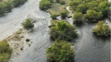 تجاويف-العُلا-الصخرية.-خزانات-طبيعية-تحفظ-مياه-الأمطار