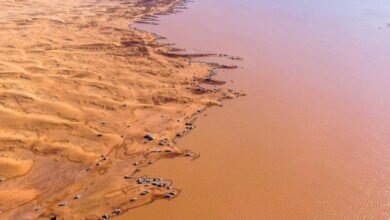 بعد-الأمطار.-روضة-مهنا-تتحول-إلى-بحيرة-طبيعية-تستقطب-الزوار