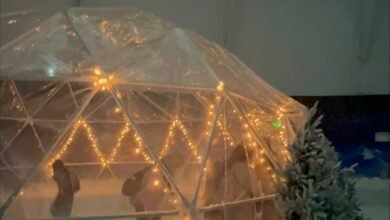 “اليوم”-تتجول-في-ونتر-وندرلاند.-أضخم-ترفيه-شتوي-يعانق-عروس-البحر-الأحمر