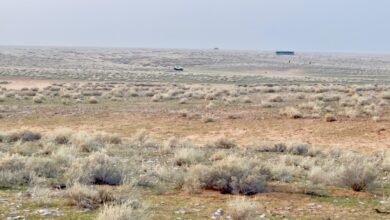 منطقة-“السبعين”-برفحاء.-وجهة-شتوية-للرحلات-البرية-والنزهات-العائلية