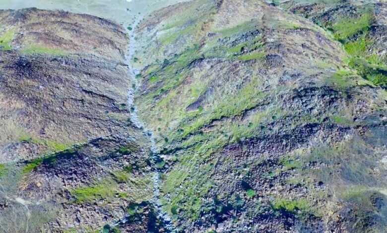 لوحة-طبيعية.-شمال-مكة-المكرمة-يكتسي-حُلّة-خضراء-بعد-الأمطار