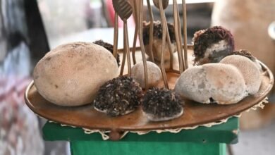 مهرجان-جازان-2026.-تجربة-استثنائية-وفعاليات-متنوعة-تبهر-الزوار