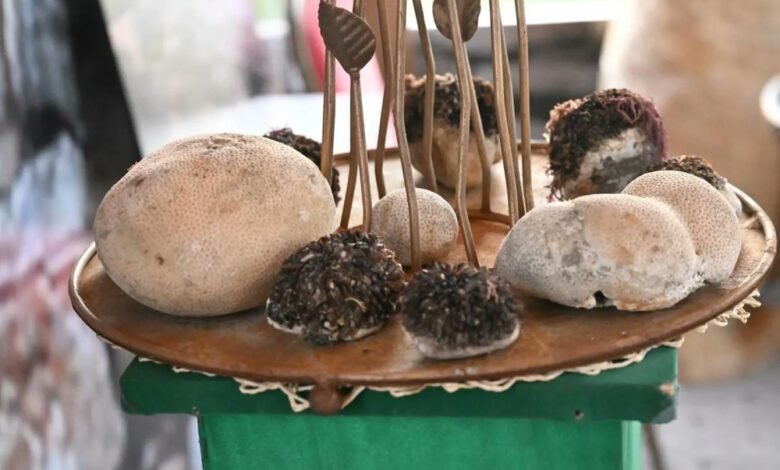 مهرجان-جازان-2026.-تجربة-استثنائية-وفعاليات-متنوعة-تبهر-الزوار