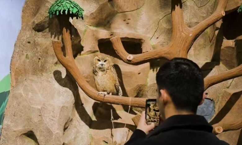 “بيت-بيردز”.-تجربة-تفاعلية-داخل-عالم-الطيور-في-موسم-الرياض