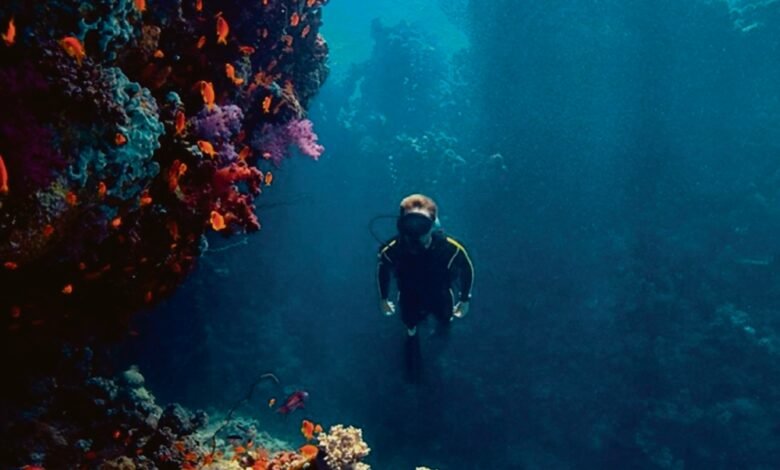 الغوص-في-بحر-جازان.-تجربة-جاذبة-تعزز-السياحة-البحرية