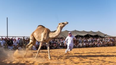 صور|-ألعاب-إلكترونية-ومسابقات-متنوعة-في-مهرجان-شرورة-الشتوي