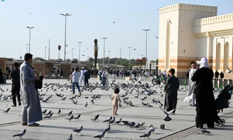 شتاء-المدينة.-تجارب-موسمية-مميزة-في-انتظار-الزوار-خلال-الإجازة