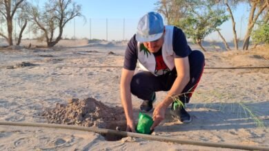 “الأحساء-الوطني”.-متنفس-عائلي-يدمج-سحر-الشتاء-مع-الاستدامة-البيئية