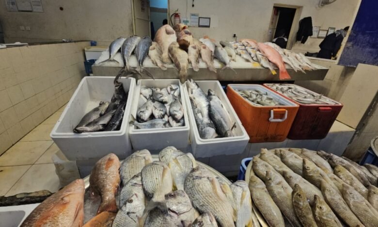 تقلبات-الأجواء-ترفع-أسعار-الأسماك-المحلية-بنسبة-30%-في-الشرقية