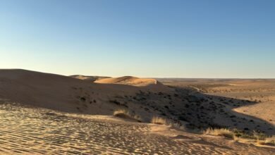 شاهد|-لوحات-طبيعية.-تكوينات-رملية-ساحرة-في-نفود-“الدغم”-جنوب-لينة