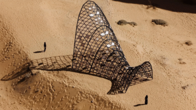 صحراء-x-العلا-2026-تفتح-أبوابها-للزوار-بأعمال-فنية-إبداعية