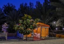 شاهد|-وجهات-شتوية.-تجارب-ريفية-مميزة-في-المزارع-السياحية-بالباحة