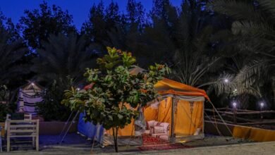 شاهد|-وجهات-شتوية.-تجارب-ريفية-مميزة-في-المزارع-السياحية-بالباحة