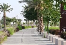 صور-|-مسار-وادي-العقيق.-متعة-المشي-والتنزه-في-المدينة-المنورة