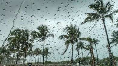 الأماكن-والمواعيد. أمطار-خفيفة-على-أجزاء-من-الشرقية