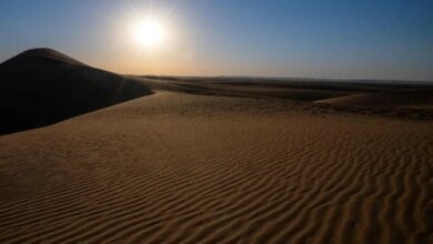 صحراء-الربع-الخالي.-ملاذ-شتوي-يجذب-عشاق-الطبيعة-ومحبي-الهدوء