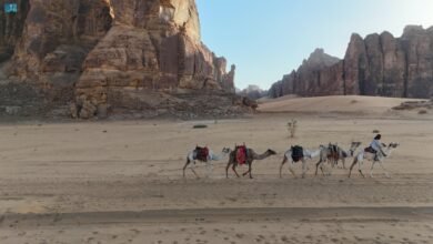 بين-قوافل-الإبل-وعربات-الخيول.-العُلا-شاهدة-على-تشكل-طرق-التجارة-القديمة