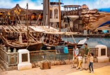 «سي-وورلد-جزيرة-ياس»-تحتفي-باليوم-الدولي-للتعليم-بباقة-من-الأنشطة-والتجارب-التعليمية