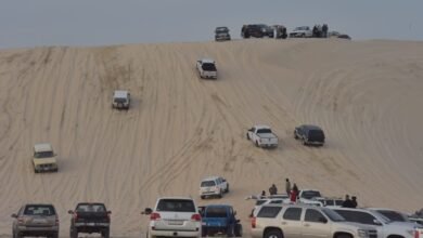 عاجل:-«بر-المطار».-كرنفال-خليجي-يفتقد-التنظيم-وضمان-أمن-وسلامة-المتنزهين