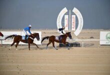 ميدان-فروسية-الجبيل-يقيم-سباقه-السابع-لموسم-1447هـ